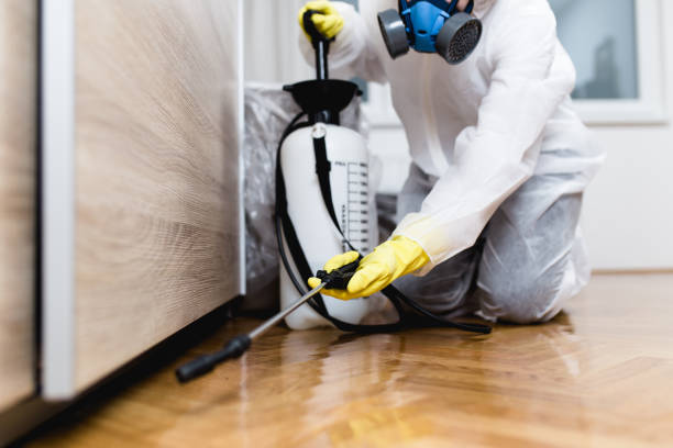 Best Bed Bug Extermination  in Locust Grove, GA