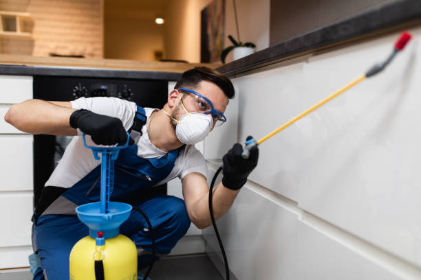 Reliable Locust Grove, GA Pest Control Solutions