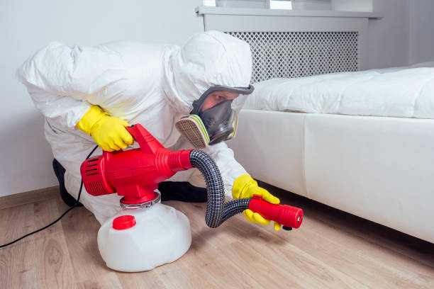 Best Flea Control Services  in Locust Grove, GA