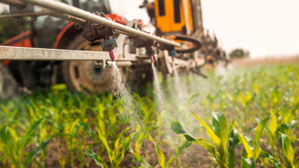 Best Commercial Pest Control Services  in Locust Grove, GA